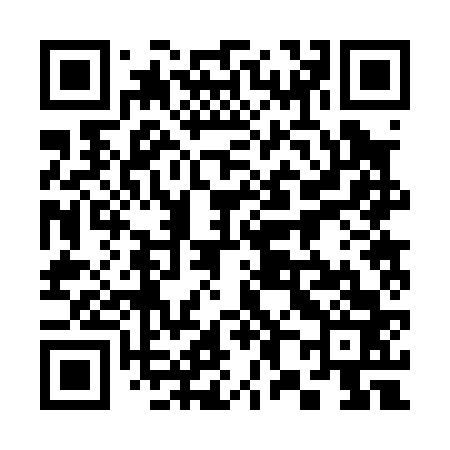 QR code for 382063