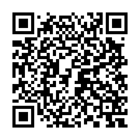 QR code for 382066