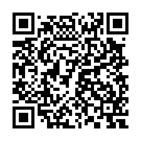 QR code for 382097