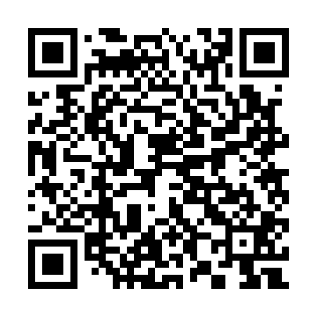 QR code for 382101