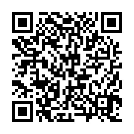 QR code for 382104