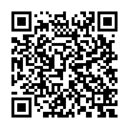 QR code for 382129