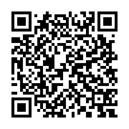 QR code for 382174