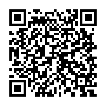 QR code for 382194