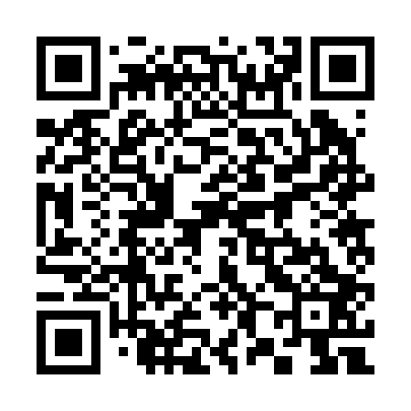 QR code for 382203