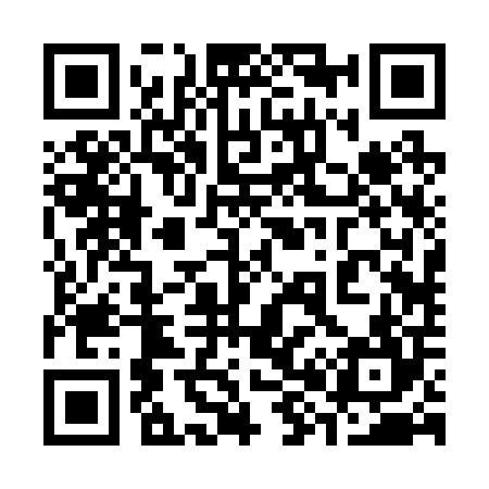 QR code for 382204