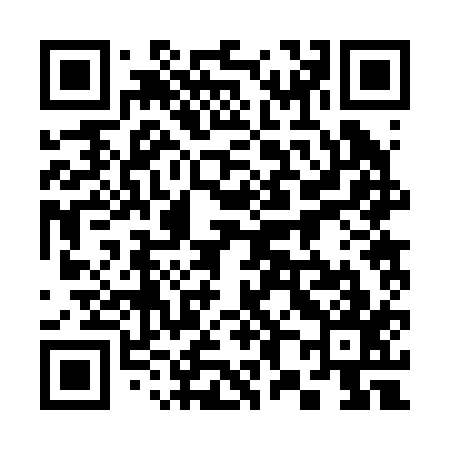 QR code for 382217
