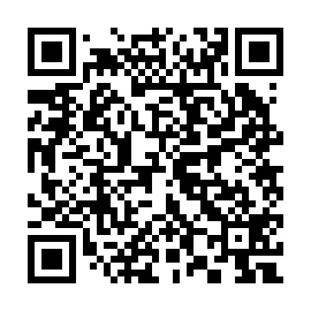 QR code for 382219