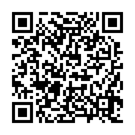 QR code for 382236