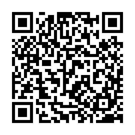 QR code for 382254