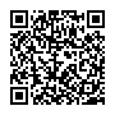QR code for 382271