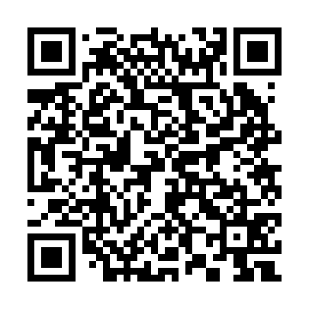 QR code for 382275