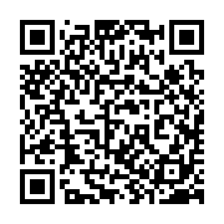 QR code for 382310
