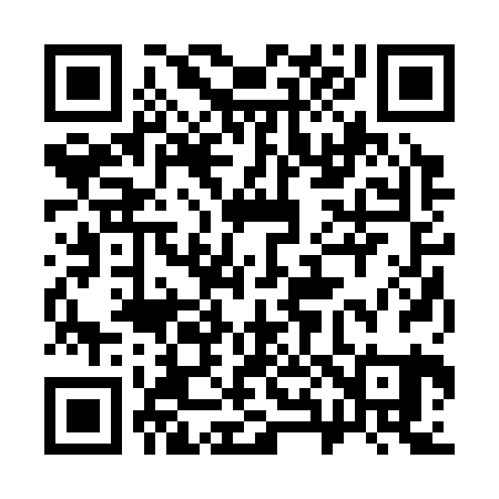 QR code for 382321