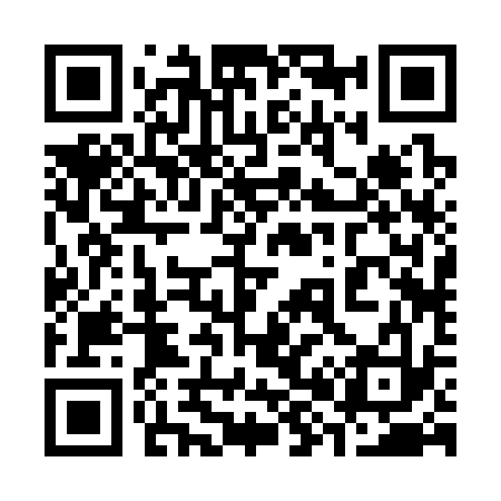 QR code for 382333