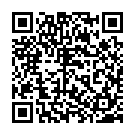 QR code for 382334
