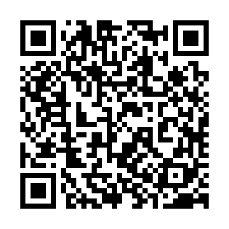 QR code for 382368
