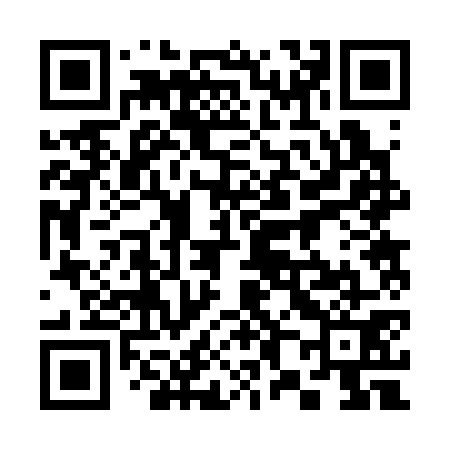 QR code for 382371