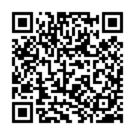 QR code for 382401