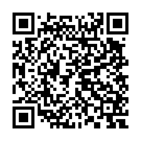QR code for 382444