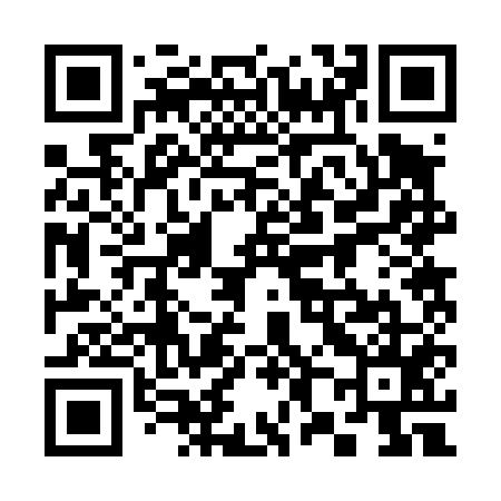 QR code for 382455