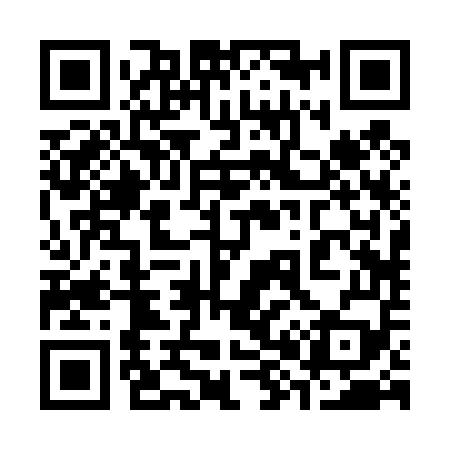 QR code for 382459
