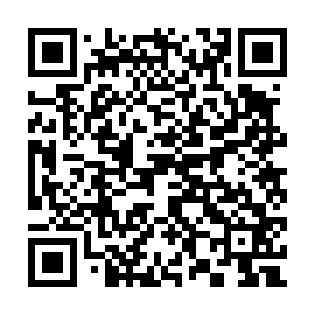 QR code for 382462