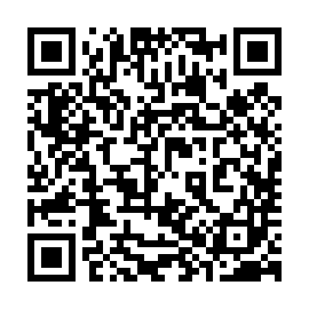 QR code for 382483