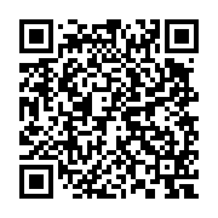 QR code for 382495