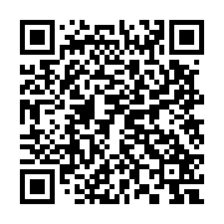 QR code for 382527