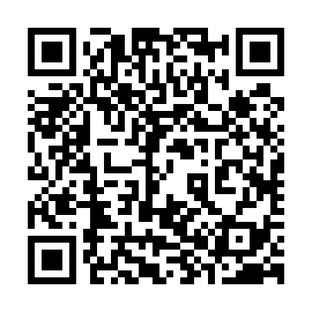 QR code for 382539