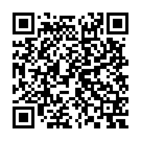 QR code for 382560