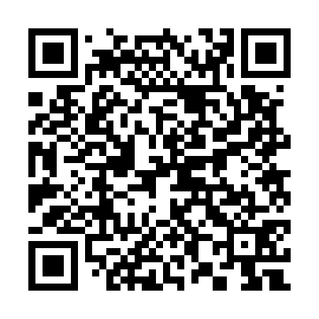 QR code for 382571