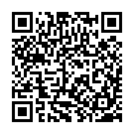 QR code for 382594