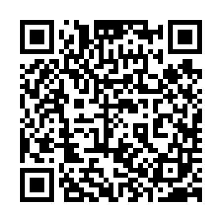 QR code for 382603