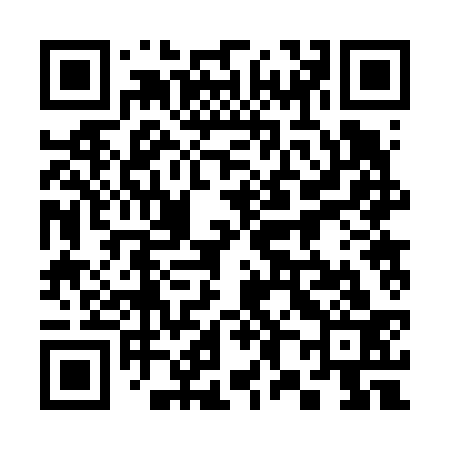 QR code for 382633