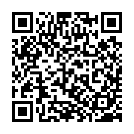 QR code for 382700