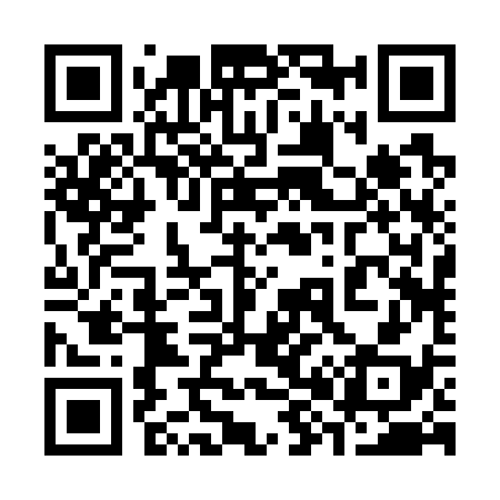 QR code for 382738
