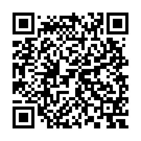 QR code for 382794