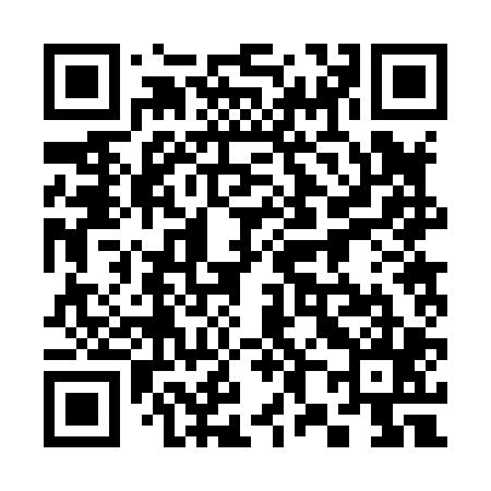 QR code for 382805