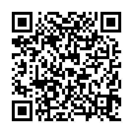 QR code for 382811