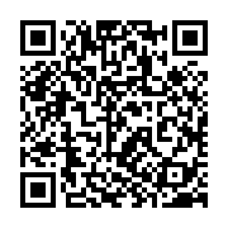 QR code for 382839