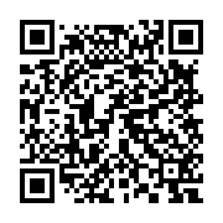 QR code for 382852