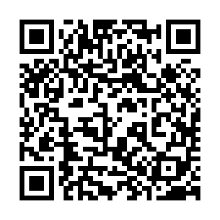 QR code for 382859