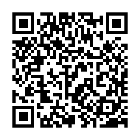 QR code for 382868