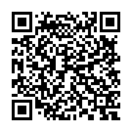 QR code for 382873