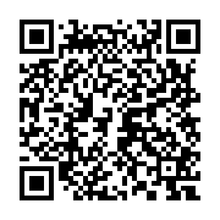 QR code for 382901