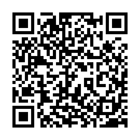 QR code for 382911