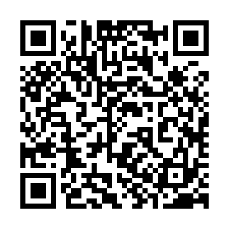 QR code for 382933