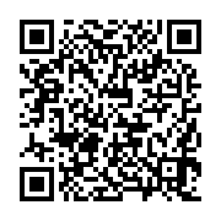 QR code for 382950